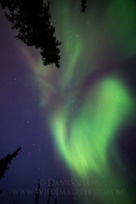 How I photograph the aurora borealis